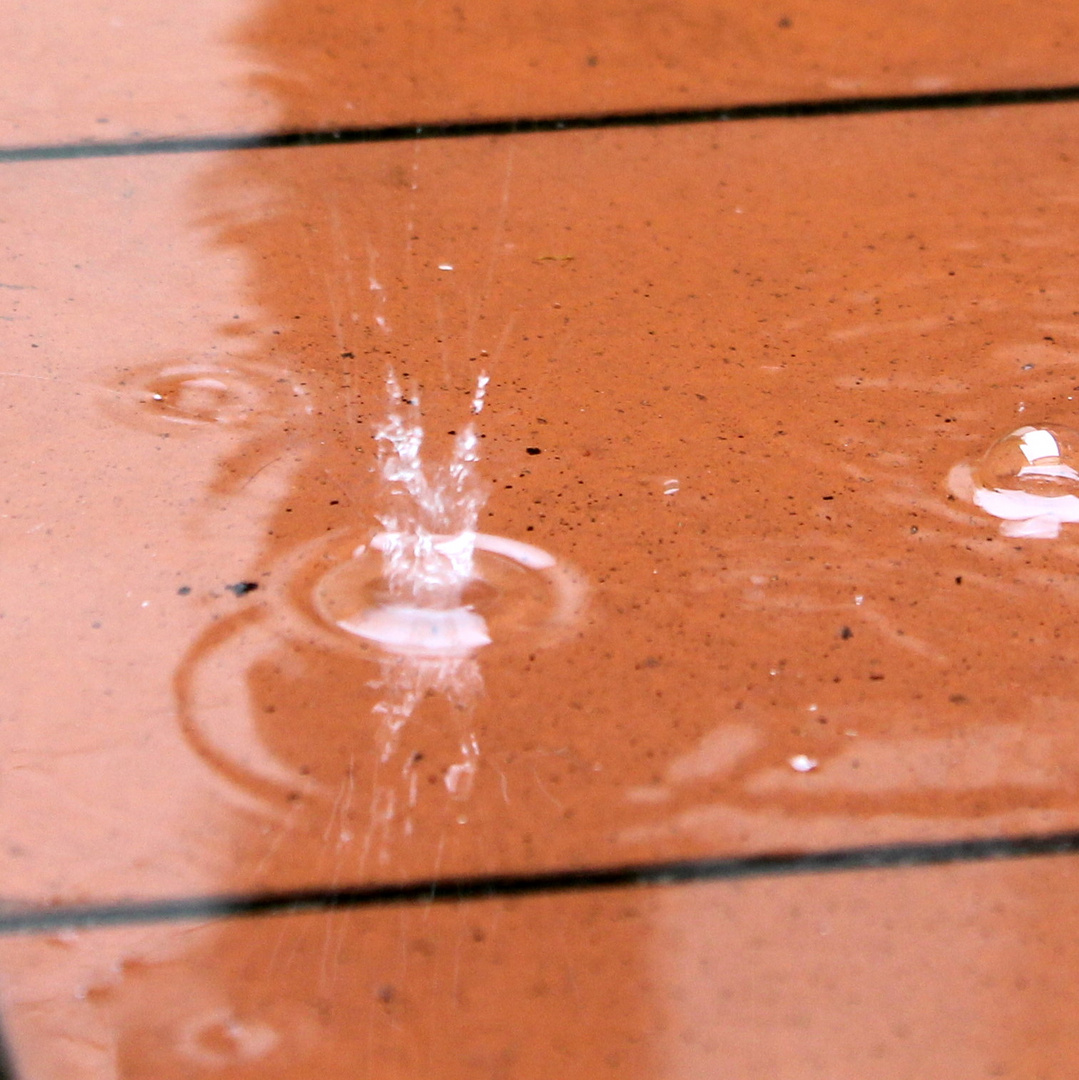 regen im garten