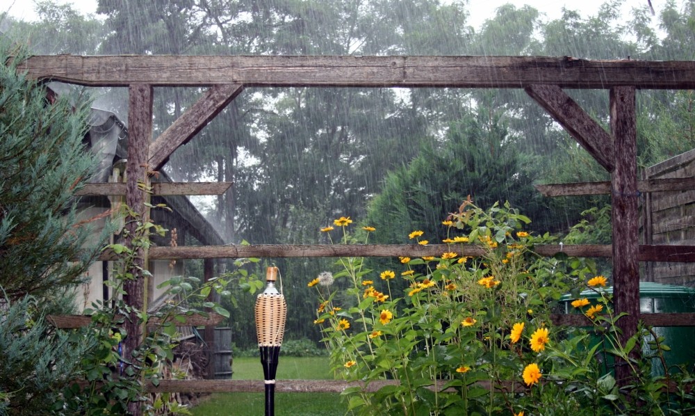 Regen im Garten