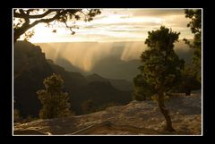 Regen im Grand Canyon