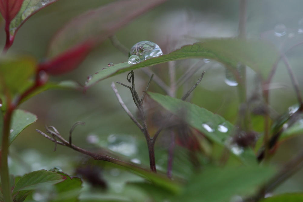 Regen im Mai