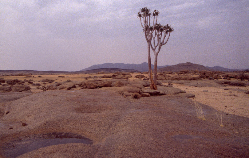 Regen im Namib-Naukluft-Park