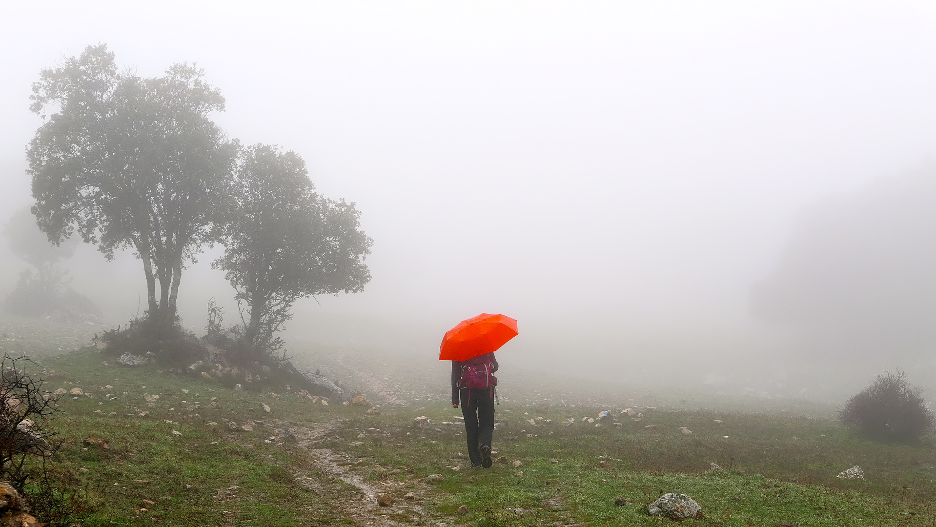 Regen im Naturpark Grazalema