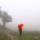 Regen im Naturpark Grazalema