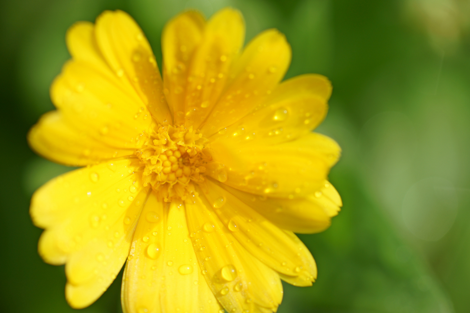 Regen im Oktober