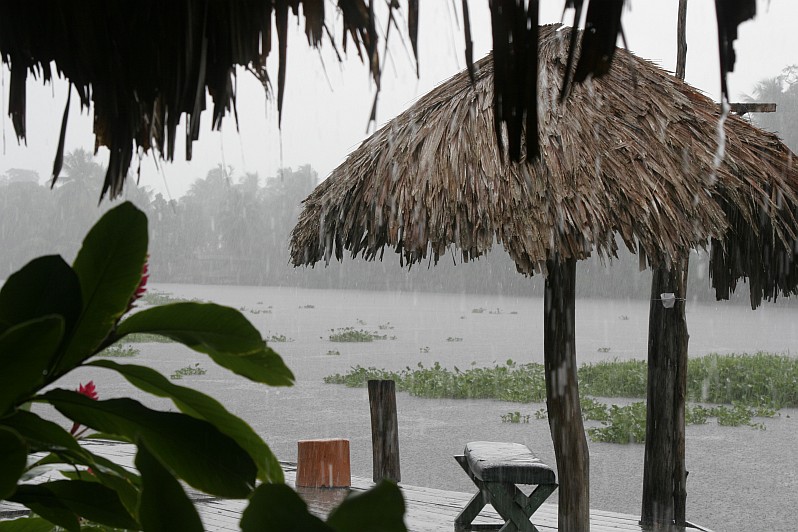 Regen im Orinoco Delta