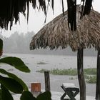 Regen im Orinoco Delta