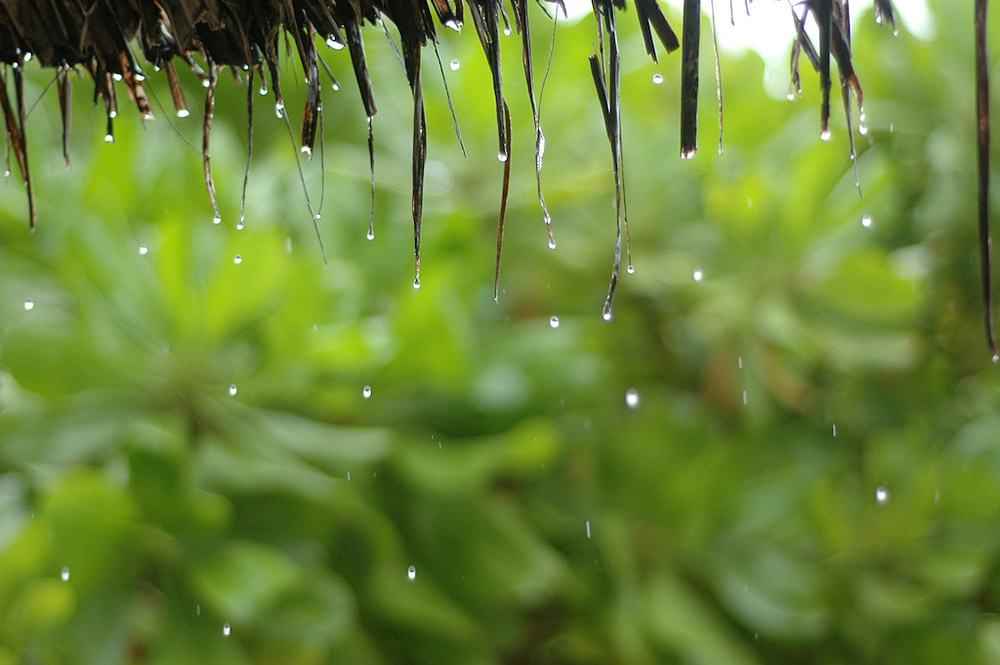 Regen im Paradies