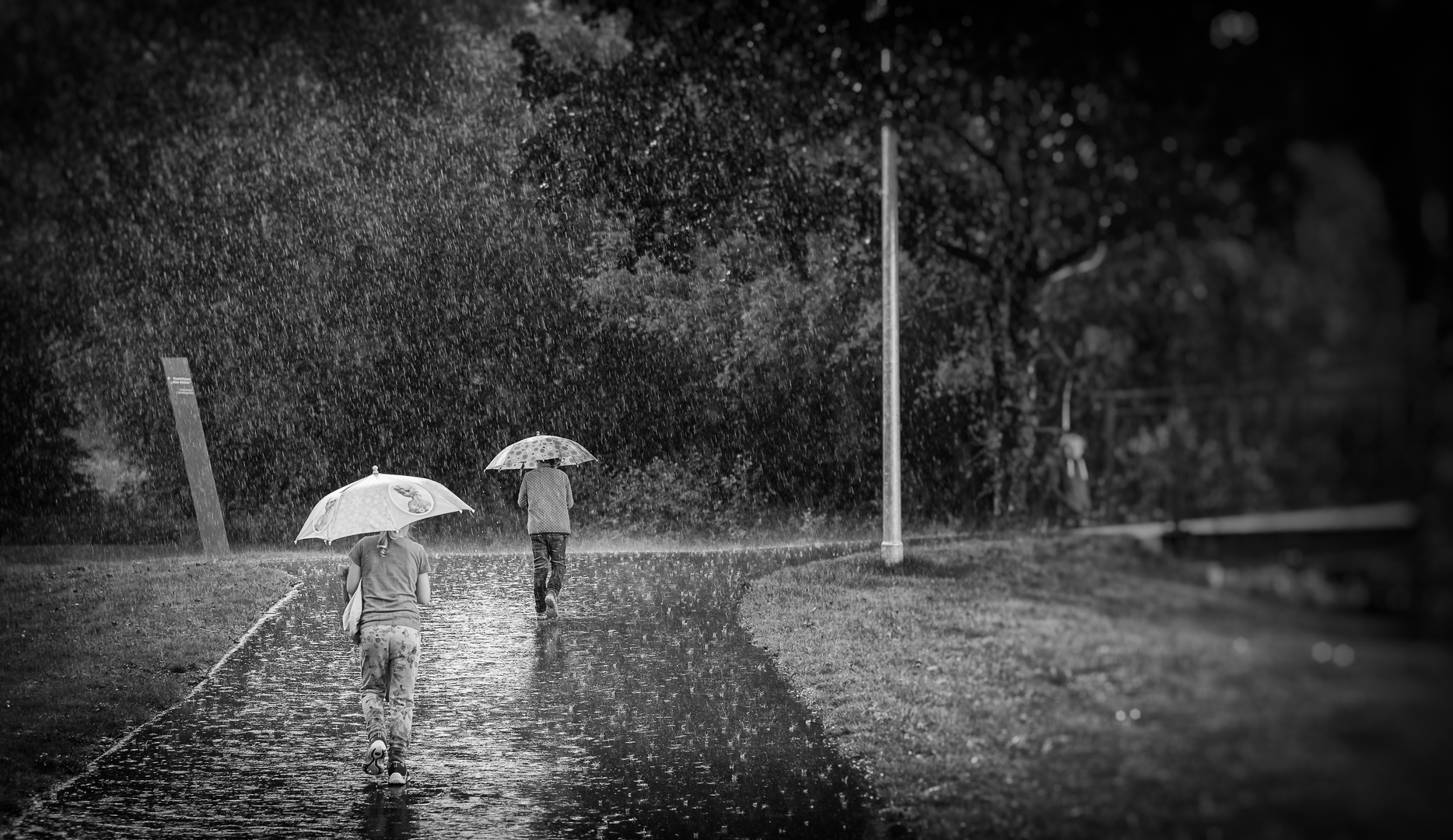 Regen im Park