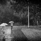 Regen im Park