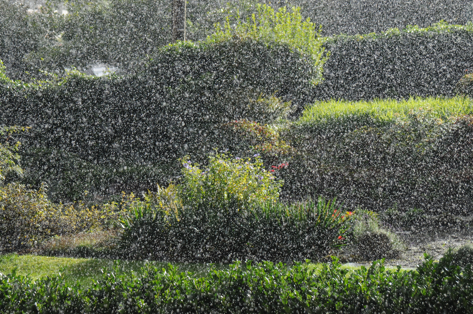 Regen im Sonnenschein