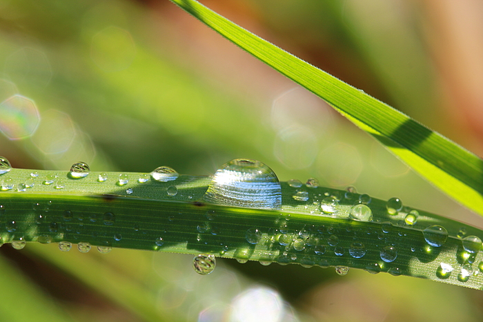 Regen im Sonnenschein