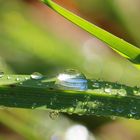 Regen im Sonnenschein