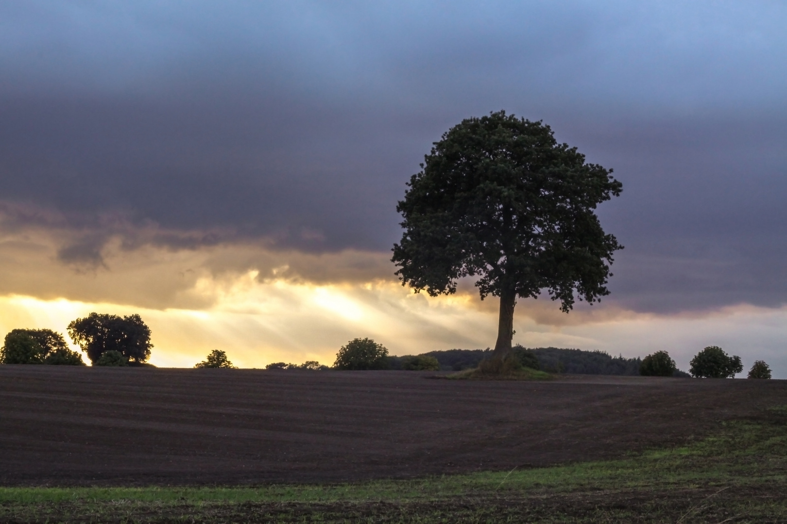 Regen im Spätsommer