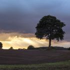 Regen im Spätsommer