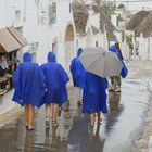 Regen im Süden (3)