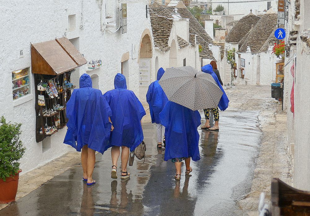 Regen im Süden (3)