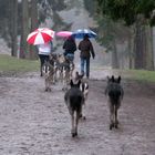 Regen im Tierpark