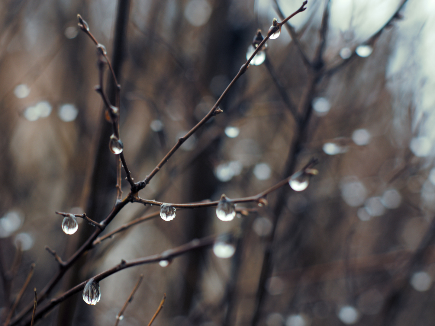 Regen im Winter