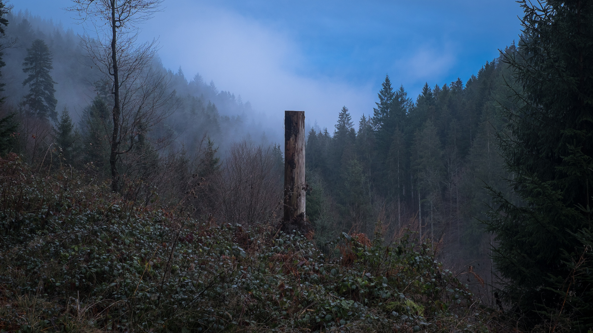 Regen im Winter