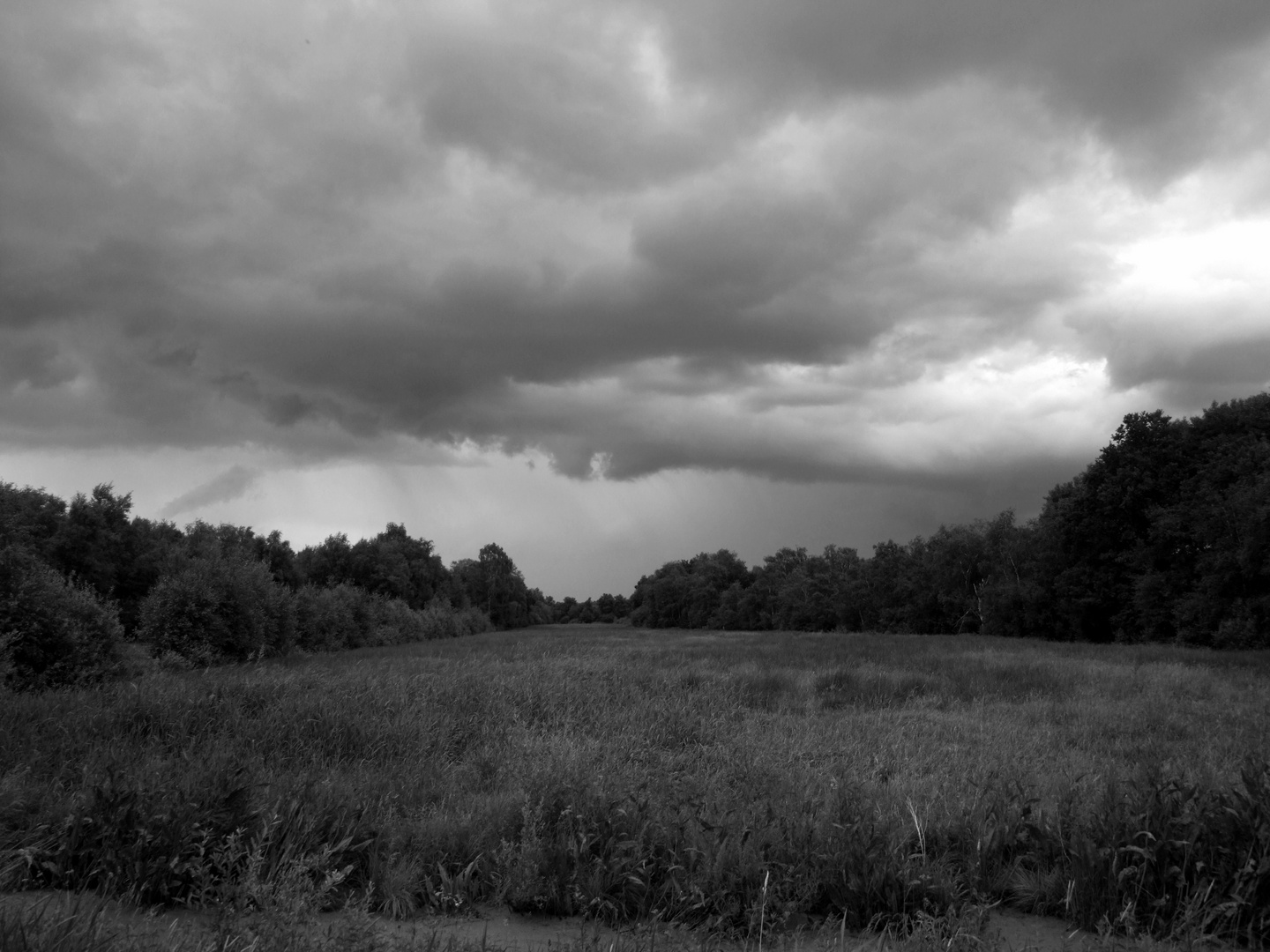 Regen in anmarsch