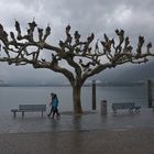 Regen in Ascona (2)