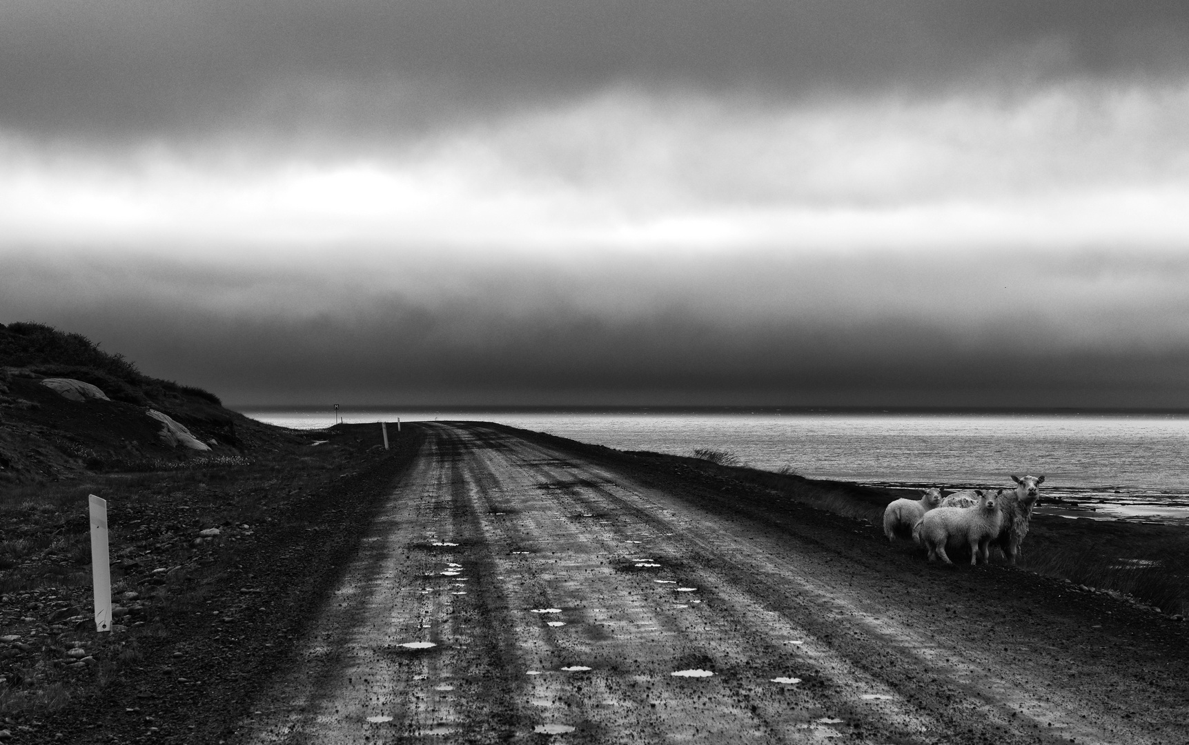 Regen in den Westfjorden