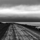 Regen in den Westfjorden