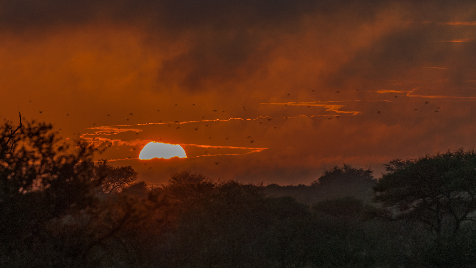 Regen in der Kalahari