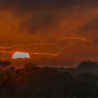 Regen in der Kalahari