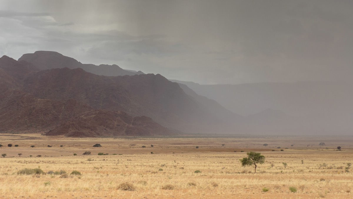 Regen in der Namib