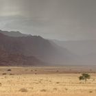 Regen in der Namib