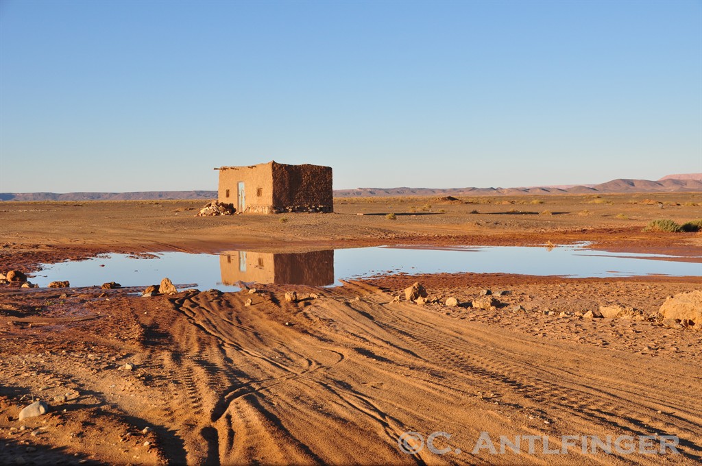 Regen in der Sahara