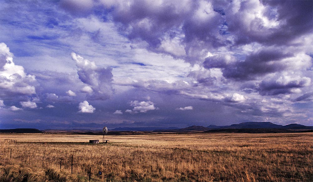 Regen in der Steppe