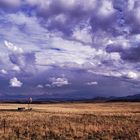 Regen in der Steppe