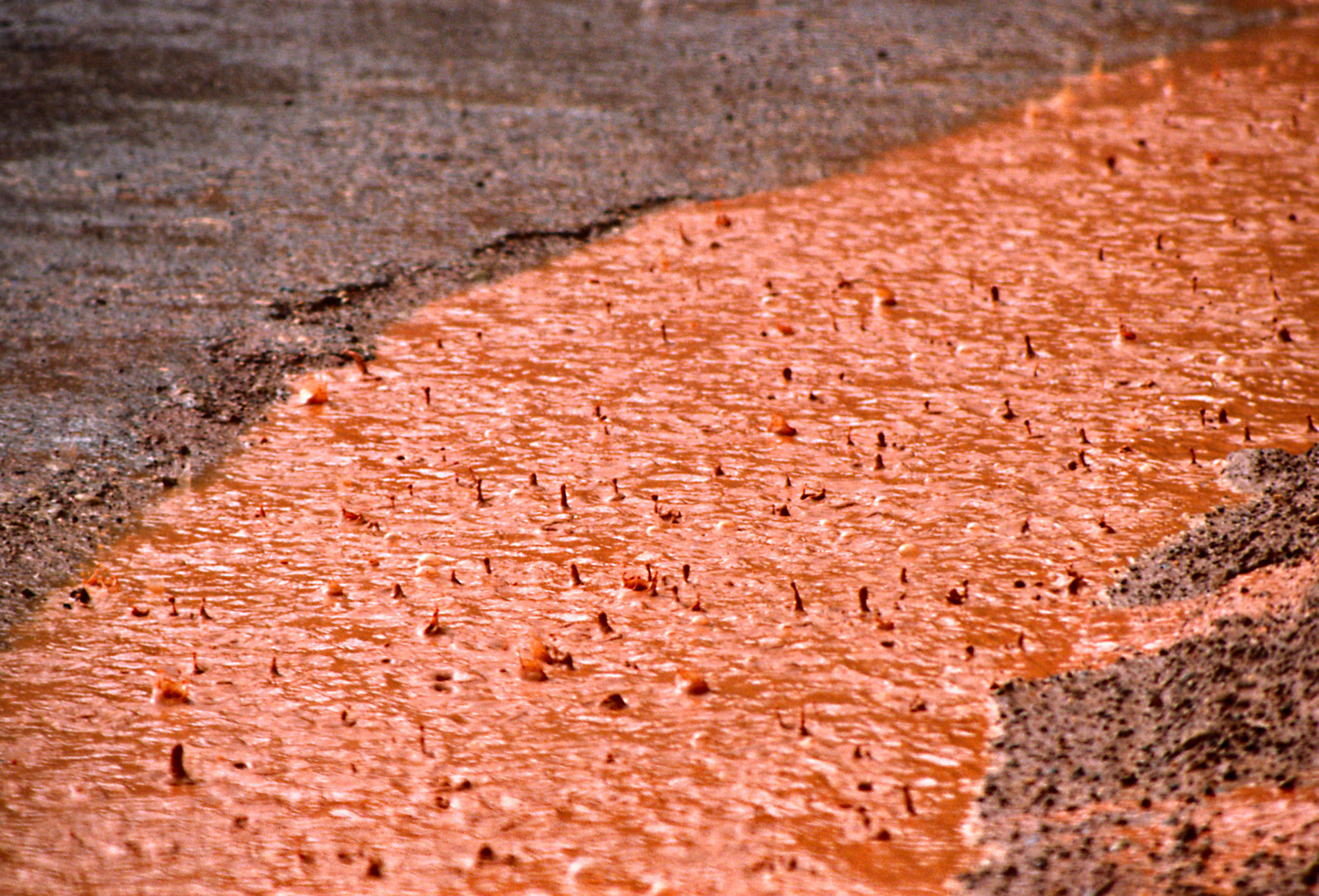 Regen in der Wüste