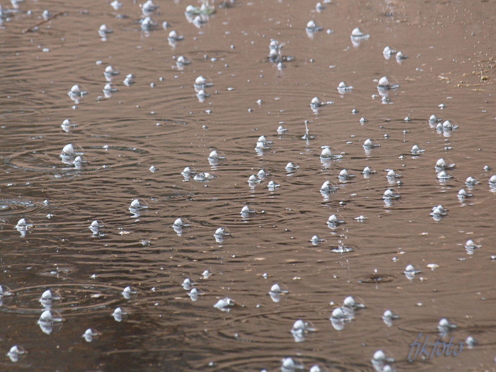 Regen in Florenz