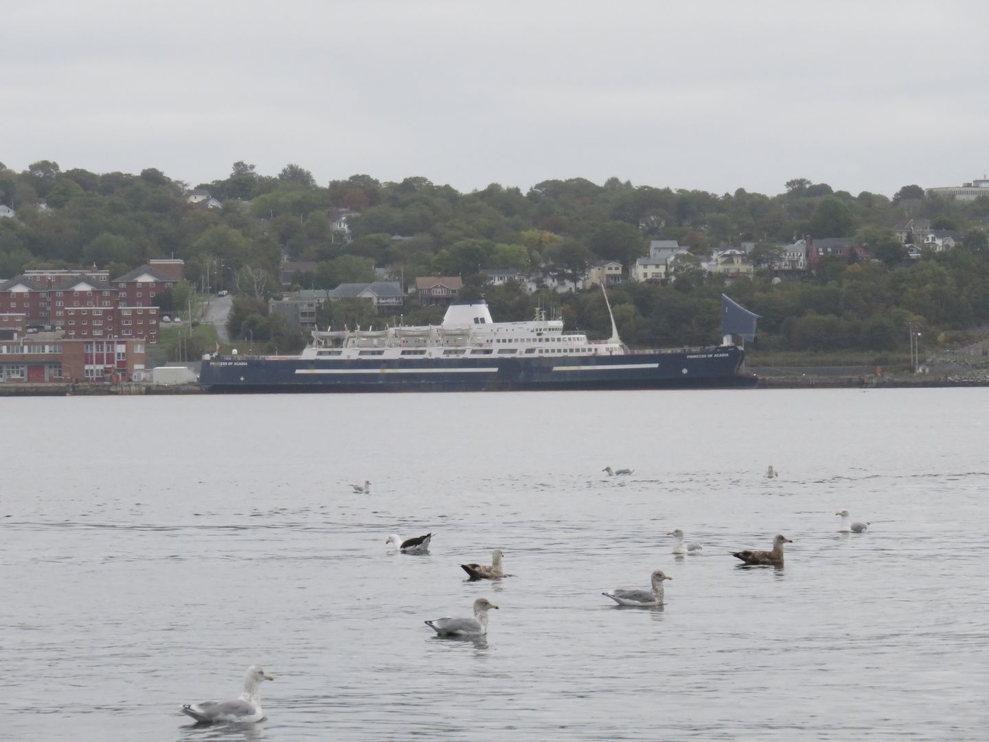 Regen in Halifax