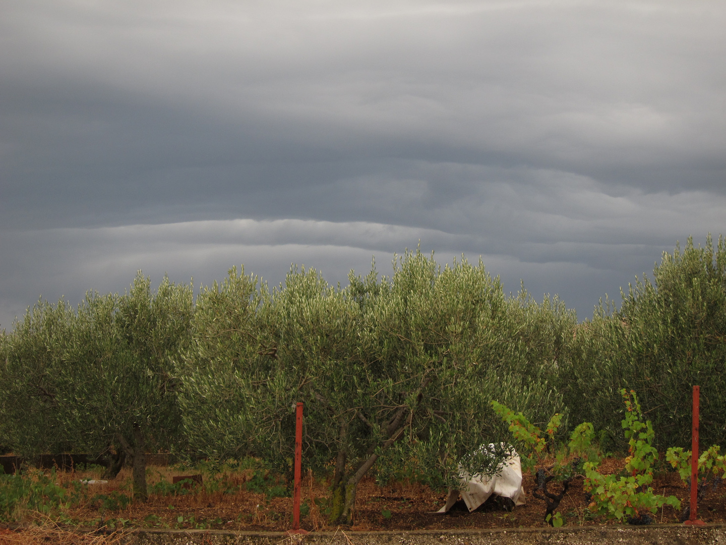 Regen in Kroatien