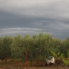 Regen in Kroatien