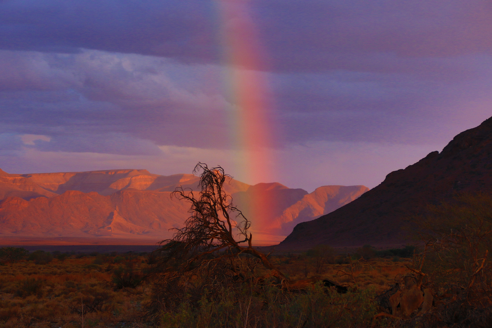 Regen in Namibia