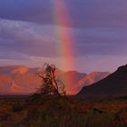 Regen in Namibia