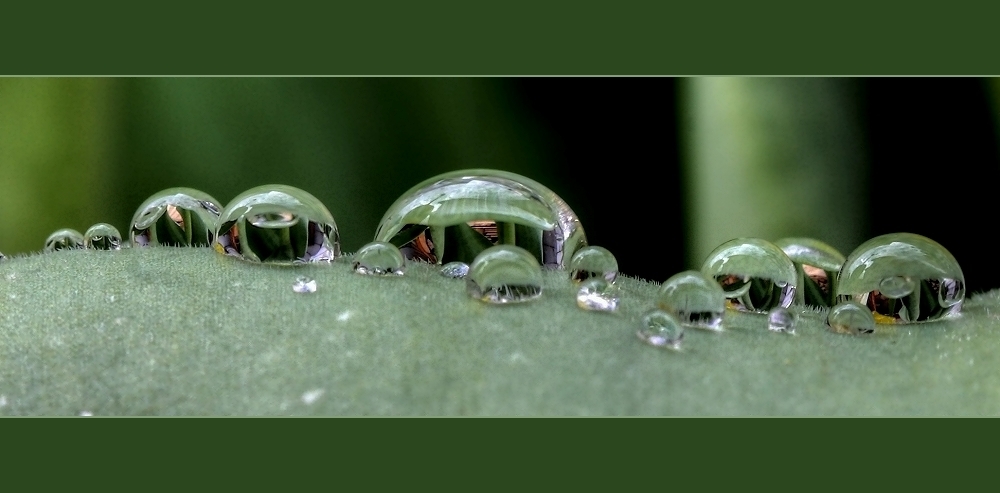 Regen in seiner schönsten Form by Wolfgang Schubert