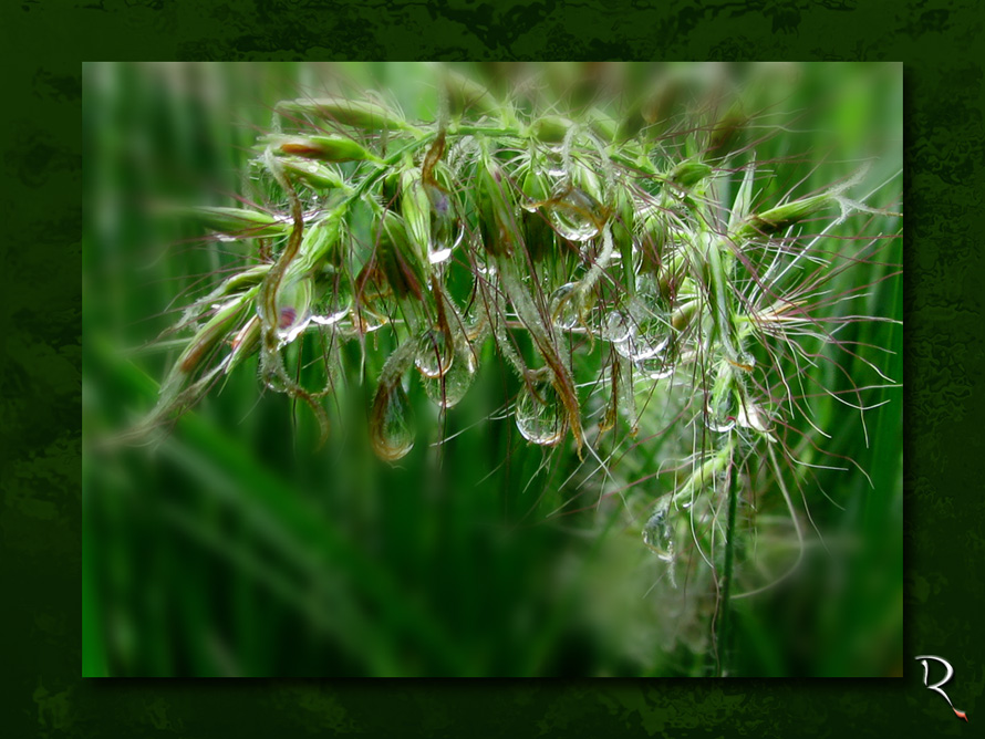 Regen in Sicht - it's raining again