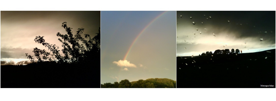 Regen ist fl ssiger Sonnenschein Foto Bild natur Regen ist fl ssiger Sonnenschein Foto Bild natur