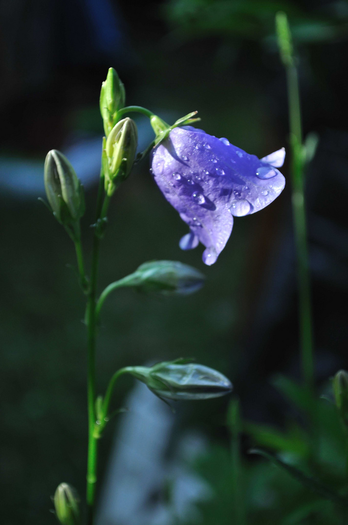 Regen ist vorbei