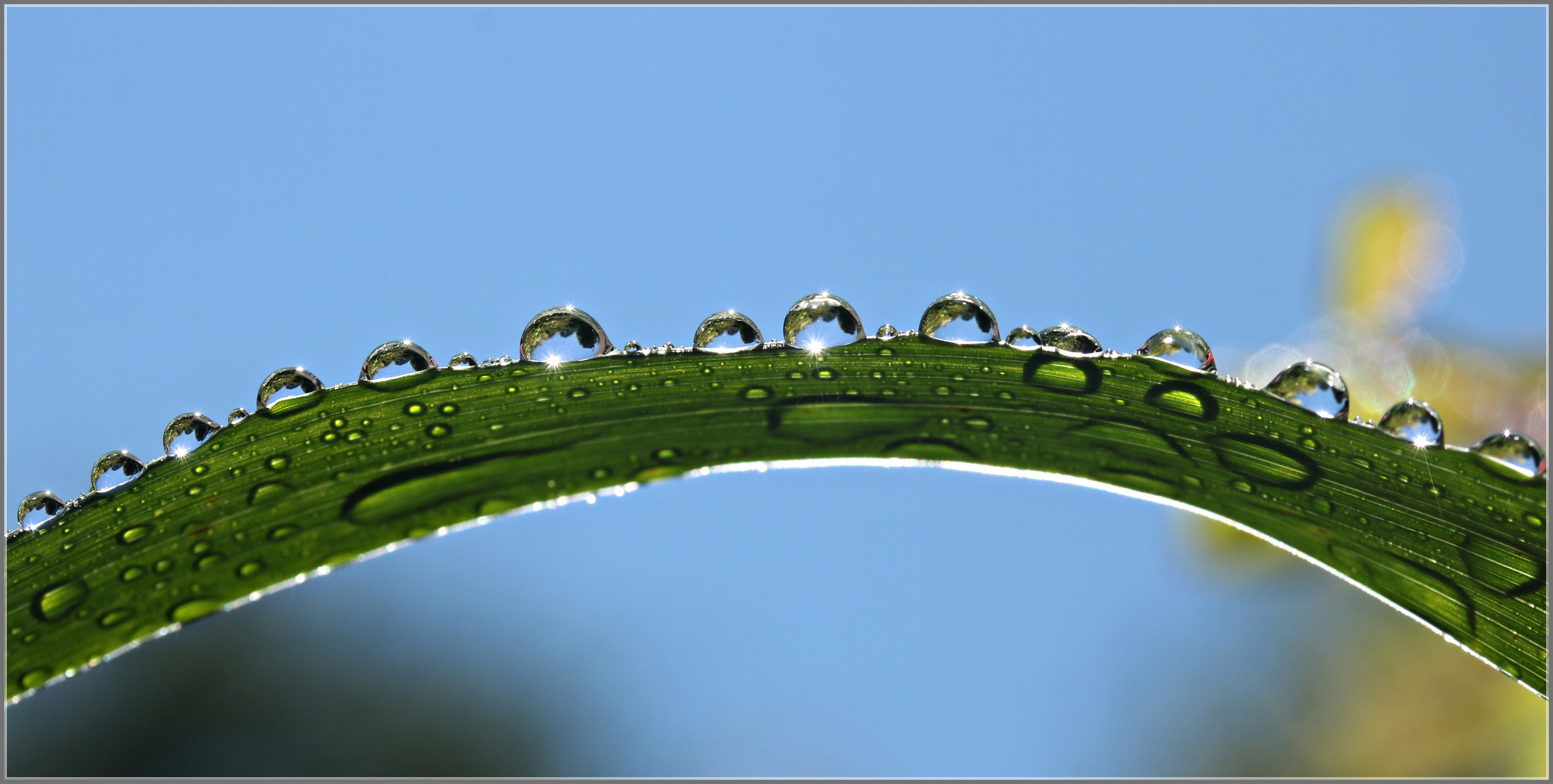 Regen kann auch schön sein