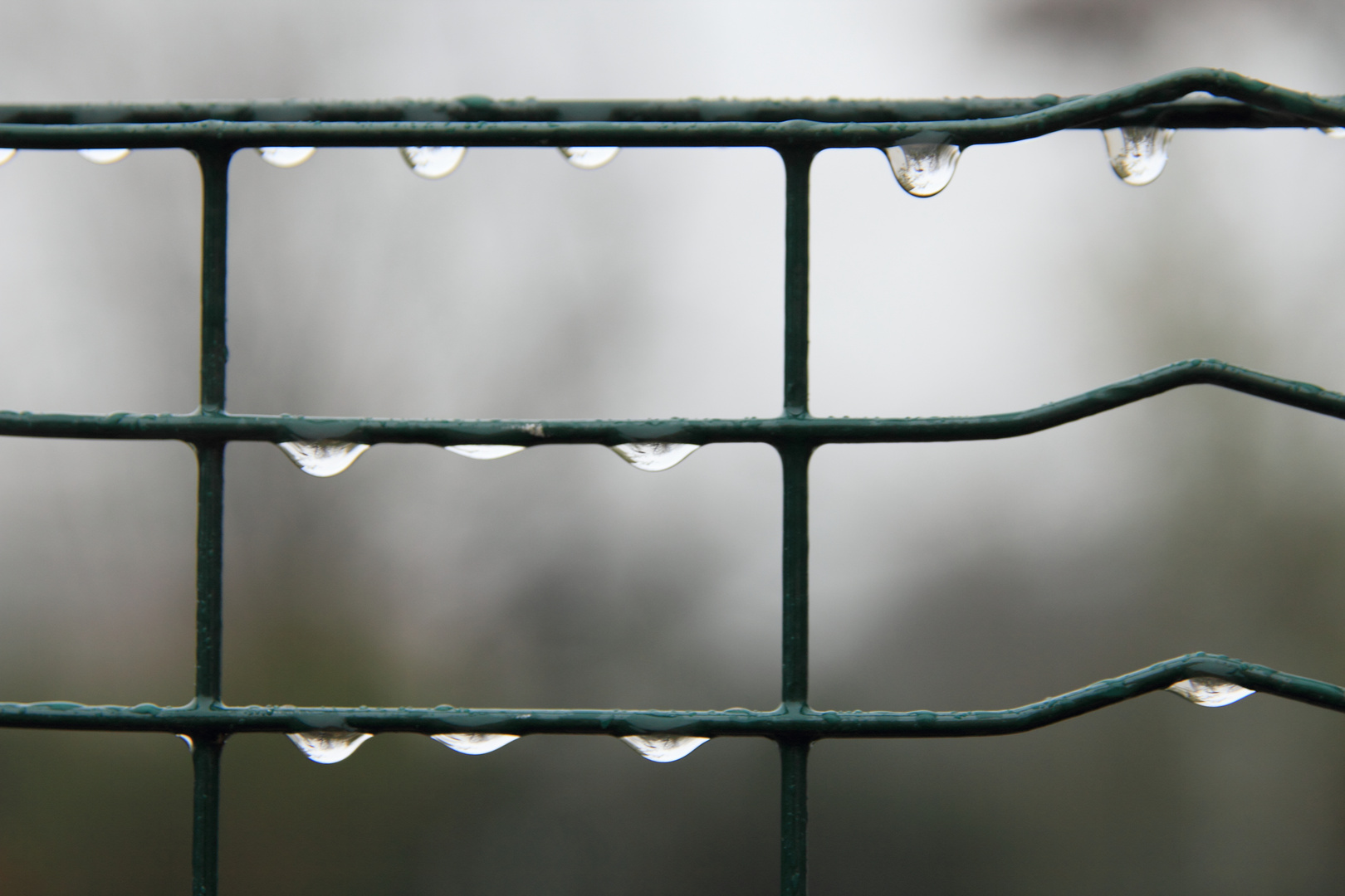 Regen kann auf Bildern schön sein