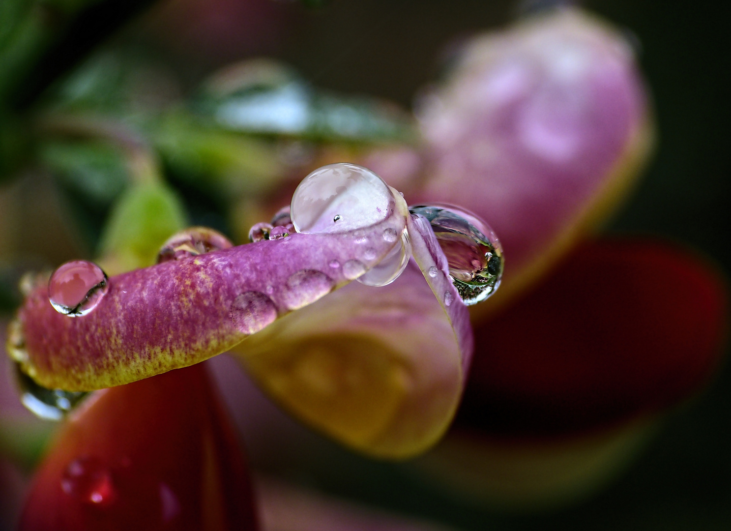 Regen kann so schön sein...