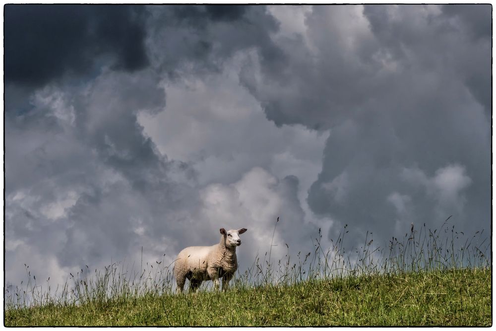 Regen kommt