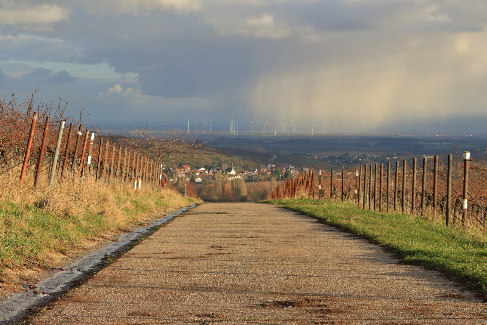 Regen kommt in die Pfalz